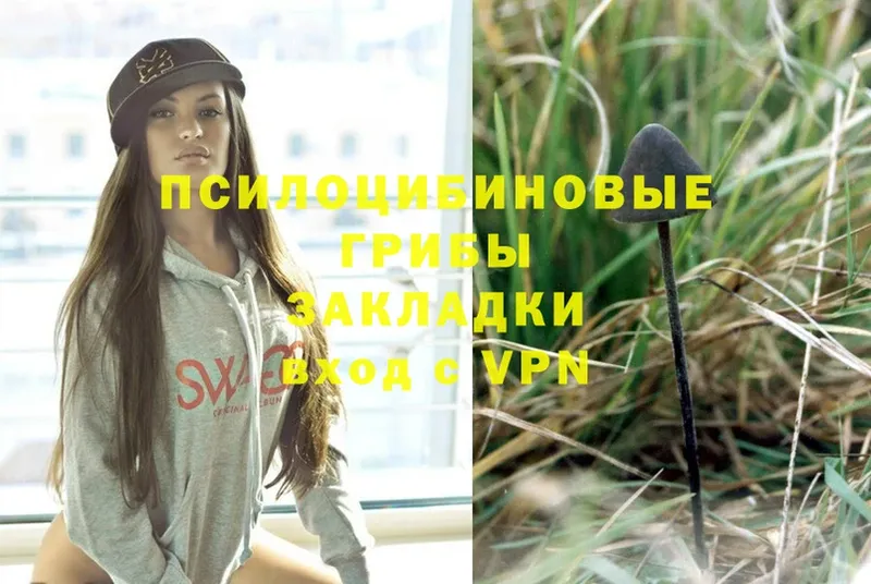 Псилоцибиновые грибы Psilocybe  наркота  Магадан 